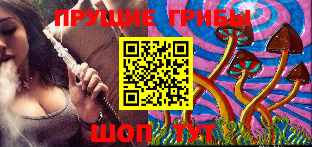 Галлюциногенные грибы GOLDEN TEACHER Медногорск
